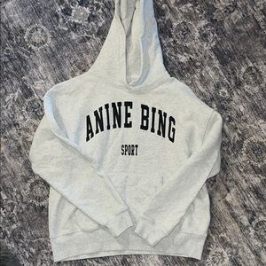 DUPE!! Anine Bing Sport Light Gray Hoodie